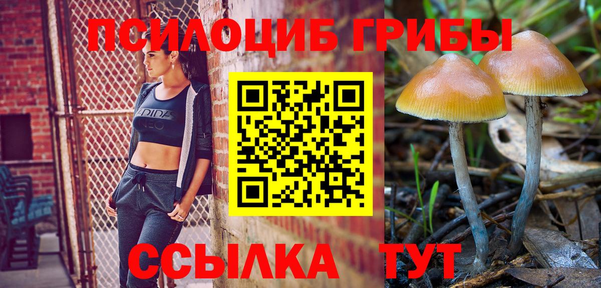 Псилоцибиновые грибы MAGIC MUSHROOMS  Псилоцибиновые грибы мухоморы  Чита  Вход с VPN 