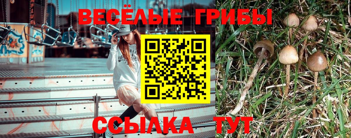 Галлюциногенные грибы мицелий Чита