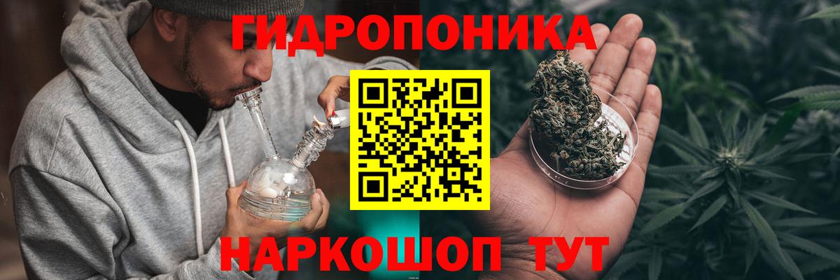 Каннабис OG Kush Чита